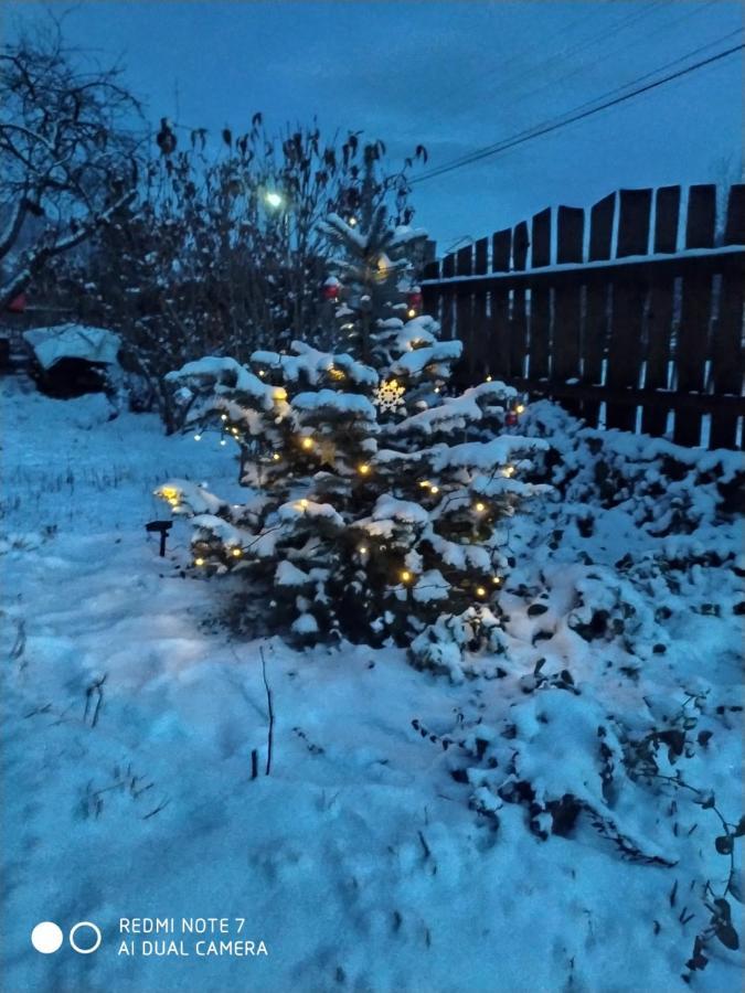 Котедж Кресаня Mykulychyn Bagian luar foto
