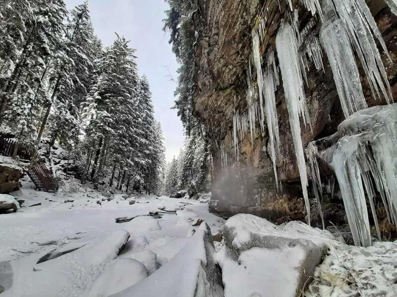 Котедж Кресаня Mykulychyn Bagian luar foto